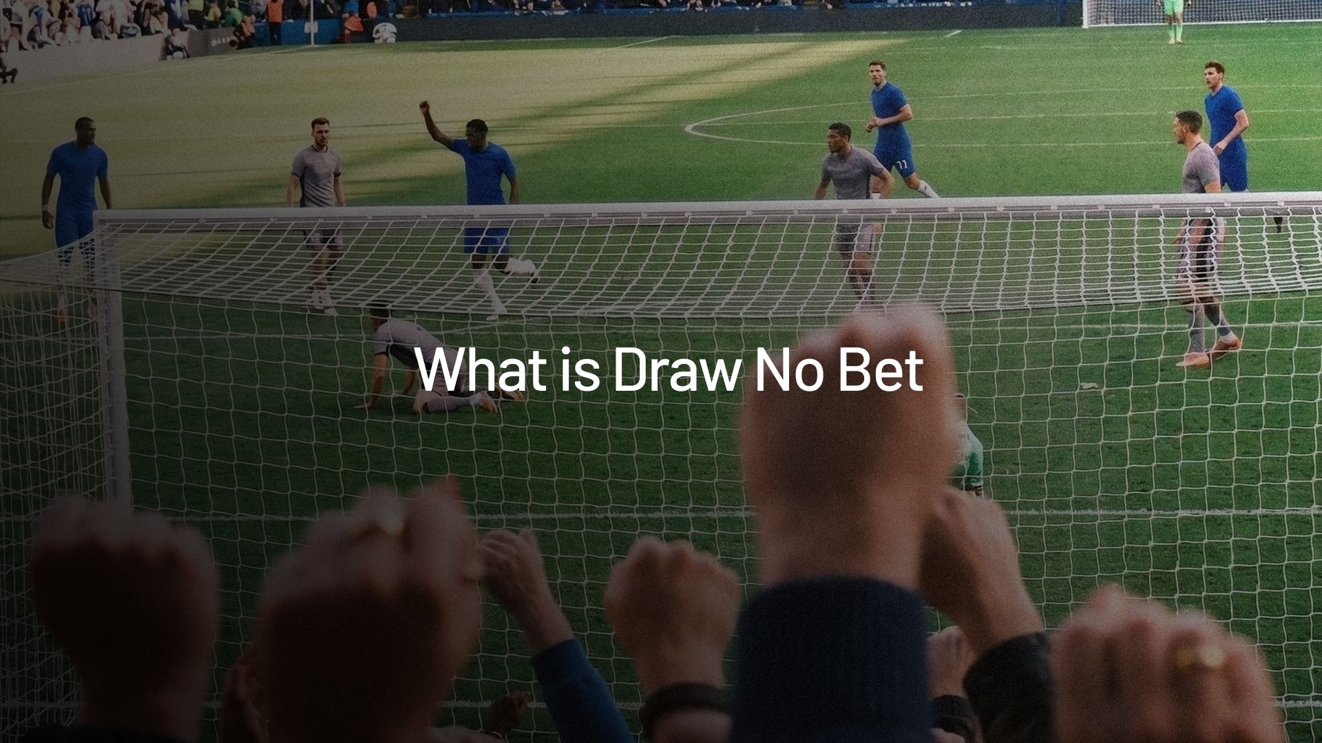 what is draw no bet